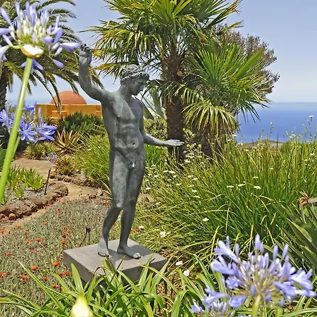 Botanico * Puntagorda